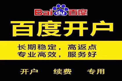 某某SEM团队成功提升网站流量与转化率的实战经验